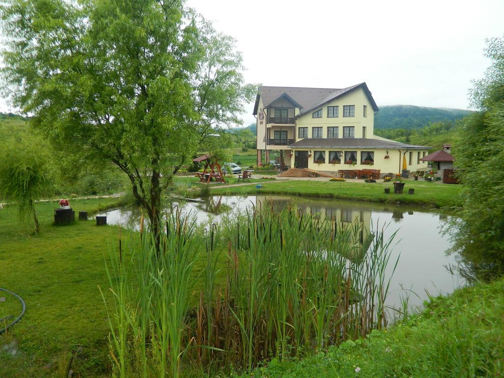 Pensiunea Violeta Saschiz Exterior photo