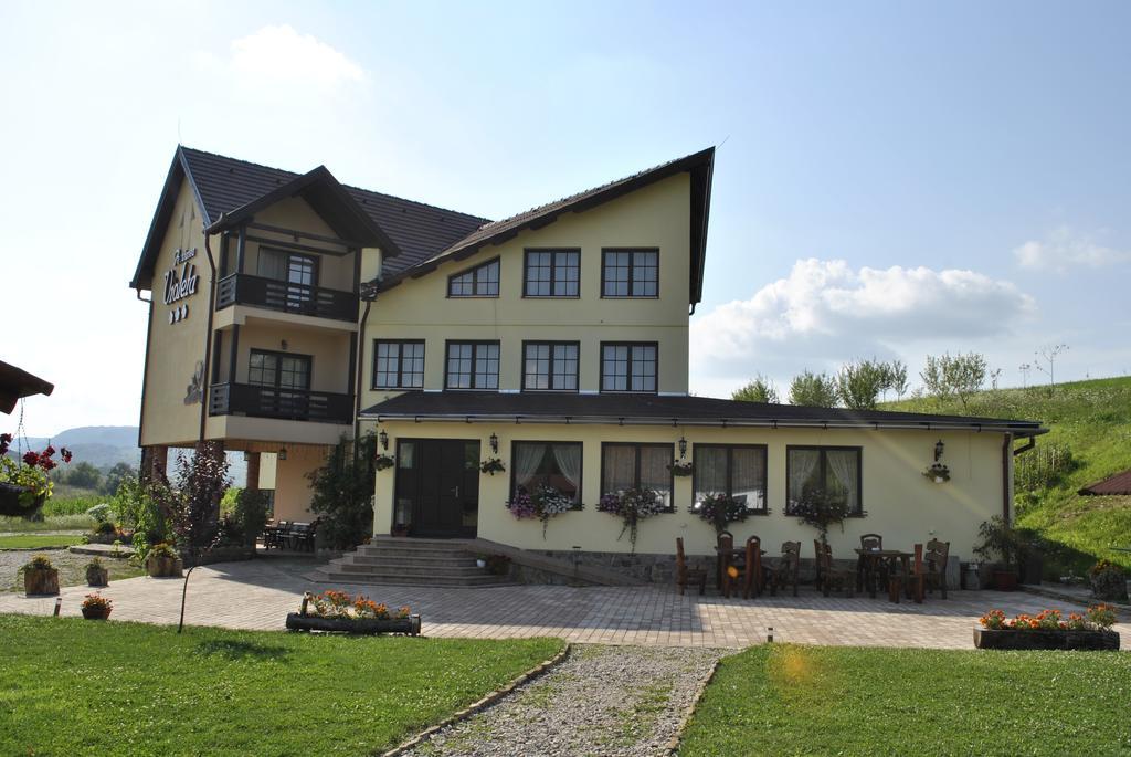 Pensiunea Violeta Saschiz Exterior photo