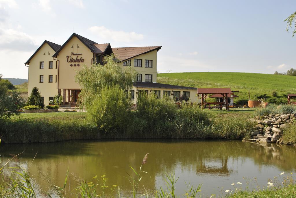 Pensiunea Violeta Saschiz Exterior photo