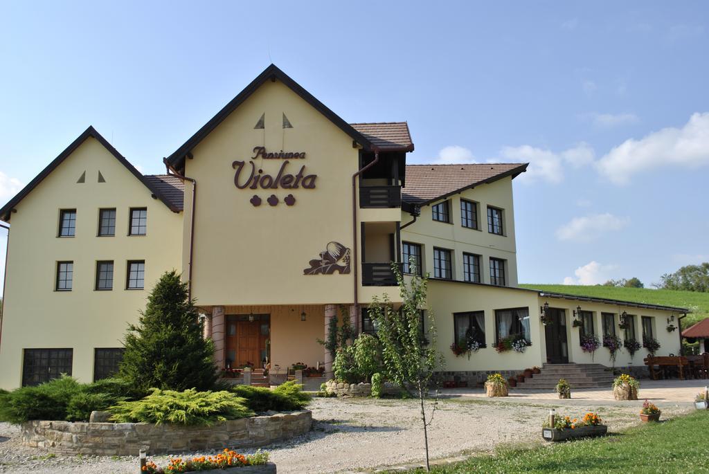 Pensiunea Violeta Saschiz Exterior photo