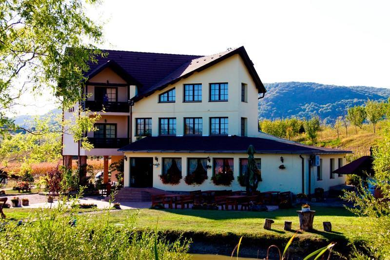 Pensiunea Violeta Saschiz Exterior photo